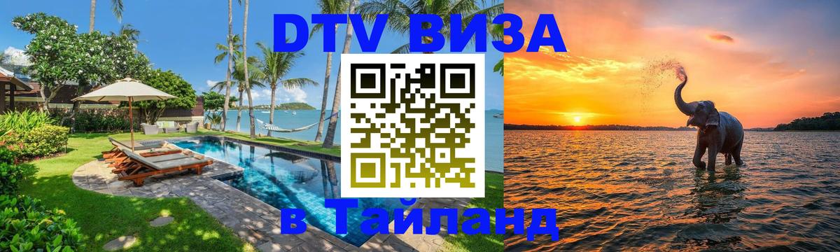 Оформление DTV визы под ключ: стоимость и тарифы, только загранпаспорт - Чебоксары  05.12.2025 